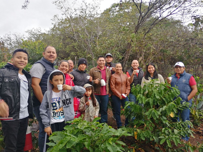 Recorrido por los cafetales