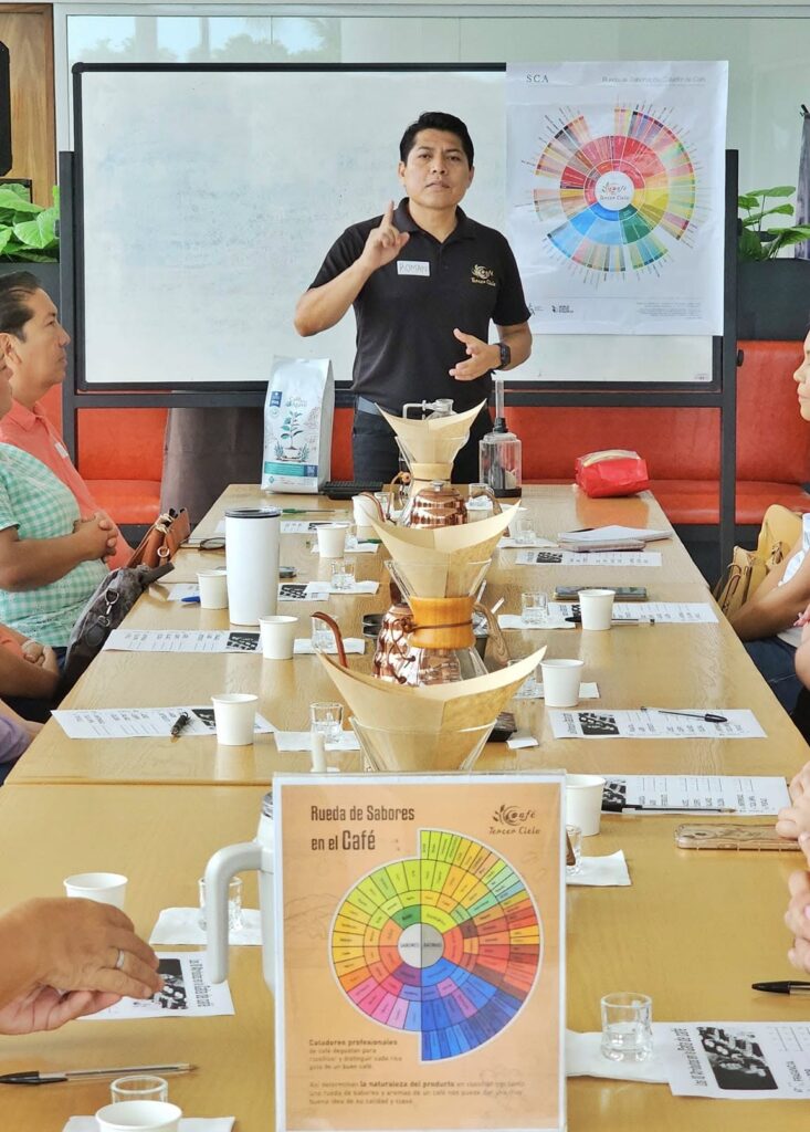 487530593 1077098634437079 4952554637079328851 n e1747425166507 733x1024